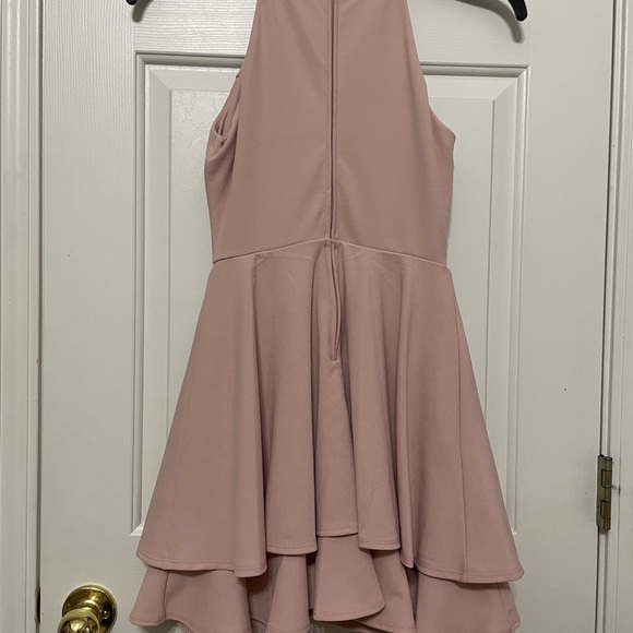 Petite Blush dress - Picture 10 of 14